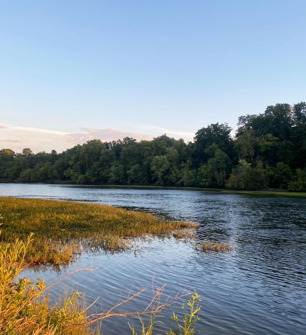 Luxury Riverfront Tiny House- Amazing Views- #111 Strawberry Plains Εξωτερικό φωτογραφία